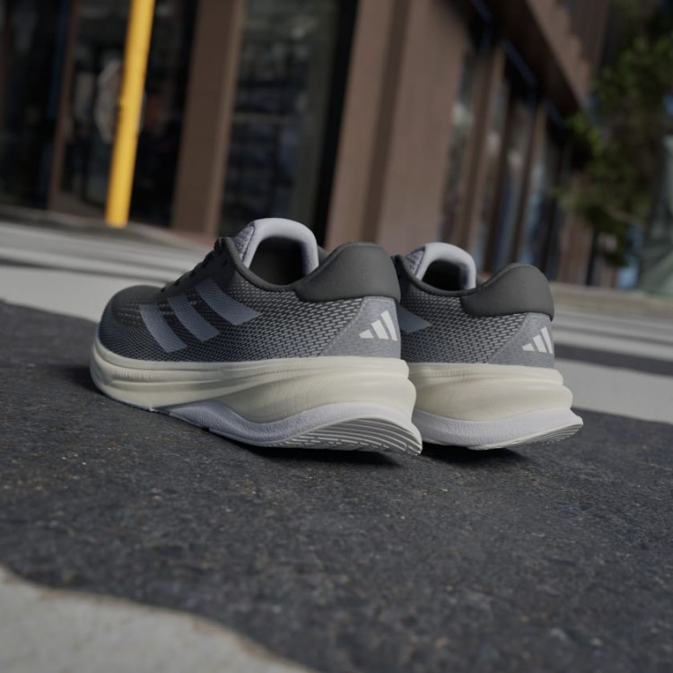 SUPERNOVA SOLUTION W